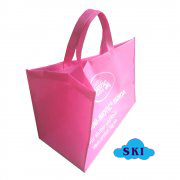 Cheap Non Woven Bag